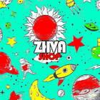 ZhWorkZ