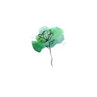 RoseGreenBr