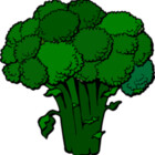 broccolishirts