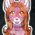 cheshkitten