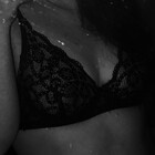 Dharii7