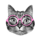 Purr95