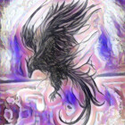 Rushab001