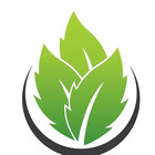Tminimalist