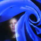 bluerose9062
