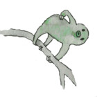 Lilytora