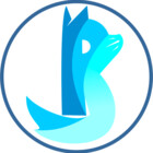 Raylage