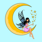 Nocbutterfly