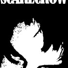 Redbubble profile picture for @Scarecrow