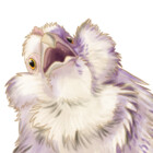 BroodMother95