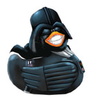 nitibob