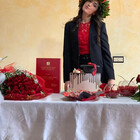 ellyelle1