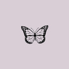 theharmonyshop