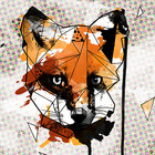 graphicward