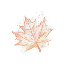 MapleAtelier