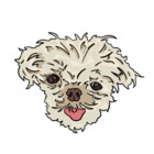 frankthadog