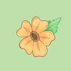 poppytori