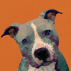 pup-fiction