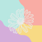 ShinyDaisy