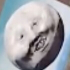 primadonnatrash