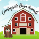 countrybarn