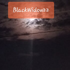 BlackWidow22