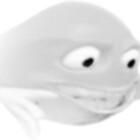 platypus888