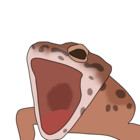 iipanchan