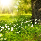 NatureQuick