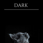 Dark4Store