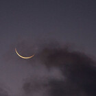 milkynight