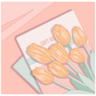 SoftBeauty