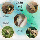 Smiles-Reptiles