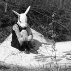 TragicRabbit