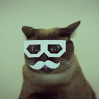 Owlndisluv
