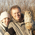bushbaby