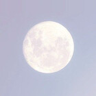 DivineMoonlight
