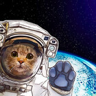 Space-Arts