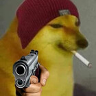 davipxt