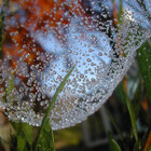 Isquaredimages