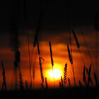 CrimsonSkyPhoto
