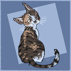 LynxNeige
