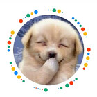 Jajoy