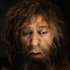 DmNeandertall