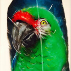 TheEclecticArt