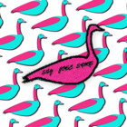 SillyGooseShirt
