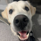 capncutie