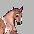apricotdoodles