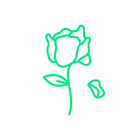 FloralxFading
