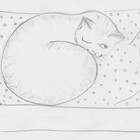 CatOnAMat